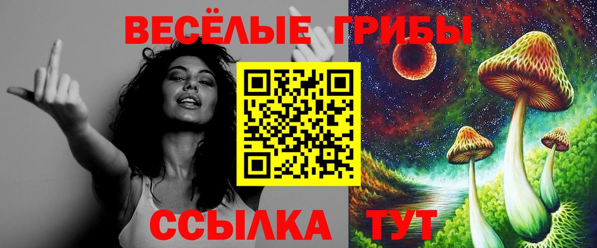 Галлюциногенные грибы GOLDEN TEACHER  Псилоцибиновые грибы Magic Shrooms  Вход с VPN  Комсомольск-на-Амуре 